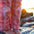 Little Dolphin Club Pants in pink check, close up of the white dolphin knee patches at golden hour